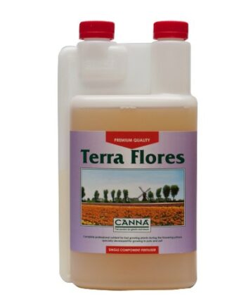 canna-terra-flores