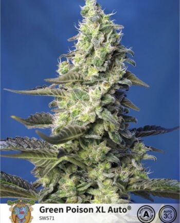 Sweet Seeds Green Poison XL Auto